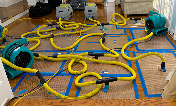 Professional Sewage Cleanup technician working in Cascade, WI